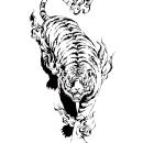 Four of beast Tsuyairodori image (white tiger) (2)