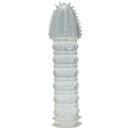艶彩四性獣　(朱雀)　　入荷未定の画像（1）