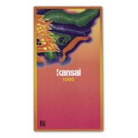 (End) KANSAI 1000 (12 pieces)