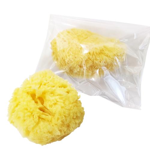 天然海綿　（大粒）　　1個