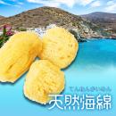 （1個）　天然海綿　（大粒）　　7～10cmの画像（1）