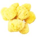 （1個）　天然海綿　（大粒）　　7～10cmの画像（4）