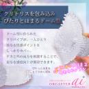 オルガスターai　クリアの画像（6）