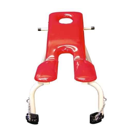 Restraint chair immediately microphone chair [ordered shipment]