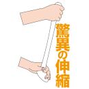 ロングスライド　　の画像（4）