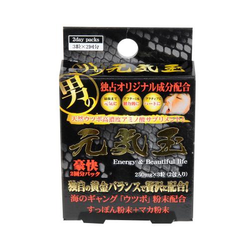 （軽減税率）　元気玉サプリ 3粒×【　2　】包入り　　黒箱