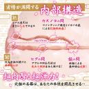 Precious:ぐちょ濡れ名器 極（オナホール）  の器