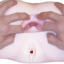 Precious:日暮里版 真性 極上生腰　　在庫1（大型ホール） 人気・おすすめ｜使いやすい・旅行におすすめ 品質保証 全国発送 正規品・日本国内発送・安心保証付き