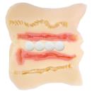 巫女乙女洗脳調教　（大型）　　の画像（2）