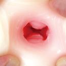 Precious:巫女乙女洗脳調教　（大型）　　（オナホール） 