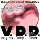 ＶＤＤ ヴァギナ ディープ ダイバー　の画像（5）