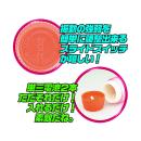 ＩＫＡＣＥＬ（パープル）　　　7月上旬頃予定の画像（2）