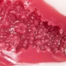 Precious:発情美人2 上原亜衣 ザ・ファイナル（オナホール）  上原亜衣