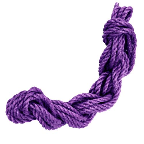 Red vine ginkgo jute carp streamer (purple)