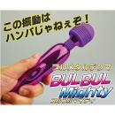 ＢＵＬＢＵＬＭｉｇｈｔｙ　（ブルブルマイティ）　　8/下旬の画像（2）