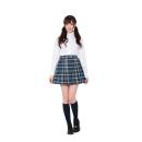 Steel plate style check skirt blue image (1)