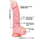 ダブルスキンディルド　（Ｓ）　　　の画像（2）