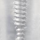 （在庫限り）　先生みてた？　　在庫2の画像（3）