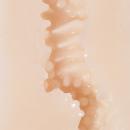 （在庫限り）　新任女教師のエッチな補修授業　　在庫2の画像（4）