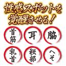 （在庫限り）　電動はけ狂い（シャンパンゴールド）　在庫2の画像（3）