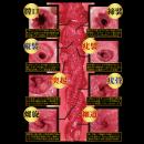 Precious:ぎゅん締め 極上名器 天海つばさ（オナホール）  600g