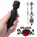 Image of Denma Samurai (3)
