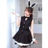 Other Costume Ranking 10 Minami Aizawa Costume (Party Bunny)