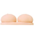 Precious:清純保育士のむちむちおっぱい　（オナホール） Precious:清純保育士のむちむちおっぱい　（オナホール） Precious:清純保育士のむちむちおっぱい　（オナホール） E1407042793(10890円)