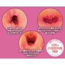 （終了）proportion（プロポーション）　の画像（2）