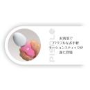 （在庫限り）ピサロ（スティック）　　　在庫22の画像（3）