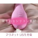 Precious:奥までハメ撮り棒（ピンク）　　V1729へ変更（ユニーク・特殊バイブ）  ｍｍ