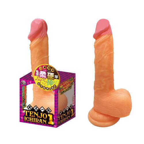 天上一乱(1) 2,640 円 天上一乱(1)