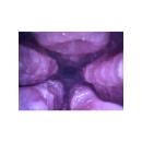 Precious:床オナ式名器-種付けプレス-【ＨＡＲＤ】　　（大型ホール）  床オナ式名器 種付けプレス