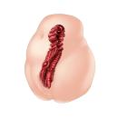 床オナ式名器-ぴったりフィット-【スタンダード】　の画像（6）