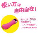 ベイビースティック（ポインター）　　　の画像（2）