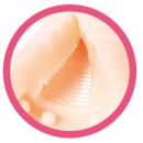 （在庫限り）　柔快感（やわかいかん）　　在庫7の画像（5）