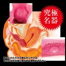 名器の品格 BLACK LABEL　　の画像（8）