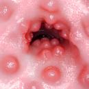 猫耳にゃん♥にゃん♥ 七沢みあ　　未定の画像（9）