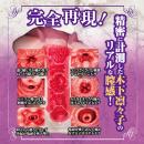 新　熟女の星　木下凛々子の淫部完全レプリカの画像（7）