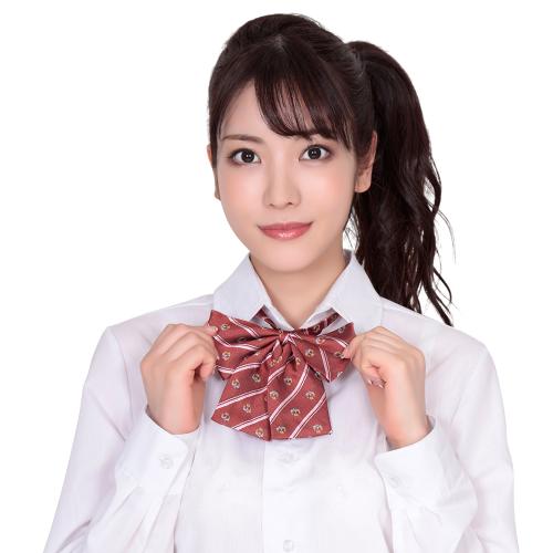 きゅん可愛スクールリボン 紋章ピンクストライプ 528 円 きゅん可愛スクールリボン 紋章ピンクストライプ