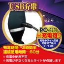 デンマブラック（ＡＩＫＡ）Ｇ　　　6月下旬入荷予定の画像（5）