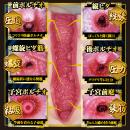 真・名器 1 今井夏帆　　入荷未定の画像（2）