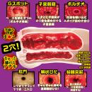 新・名器の証明 ファイルNo.004 藤森里穂　11月中旬入荷予定の画像（6）