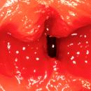 猫耳フェラにゃん 七沢みあ　　の画像（8）