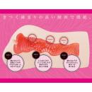 膣肉生陰唇（純）5月下旬入荷予定の画像（3）