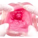 KAKU-MEIKI DX イクラコースターの画像（10）