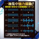 ブラックロック フリーA（エース）の画像（6）