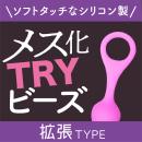 メス化TRYビーズ　拡張タイプの画像（1）