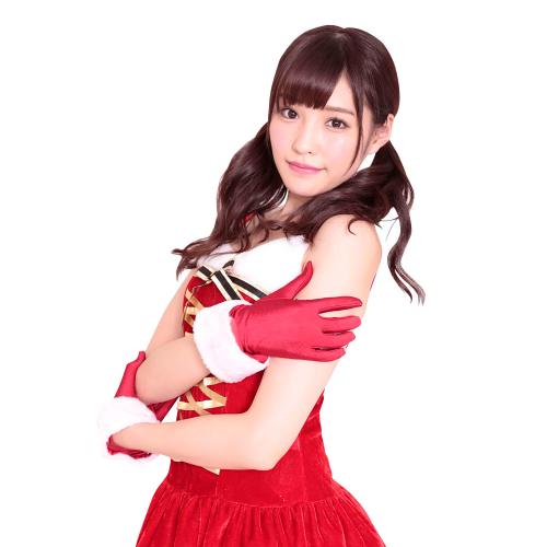 サンタ手袋ショート 1,419 円 サンタ手袋ショート
