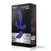 i-KASS（アイカス）